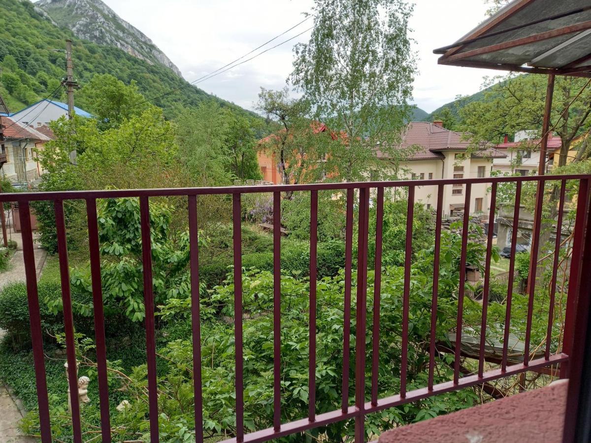 Hotel Elite Băile Herculane Eksteriør billede